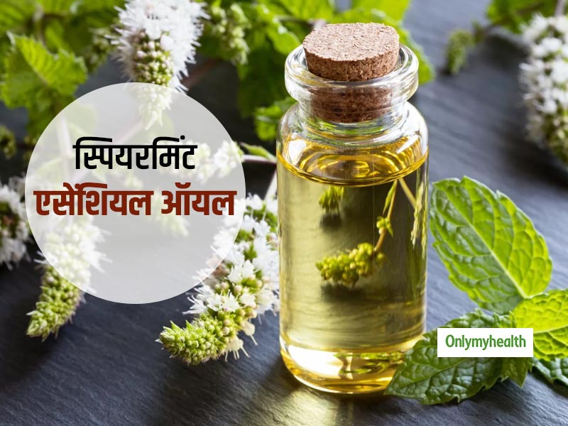 डाइजेशन से लेकर मूड को बेहतर बनाने में मदद करता है स्पियरमिंट एसेंशियल ऑयल, जानें इसके अन्य फायदे